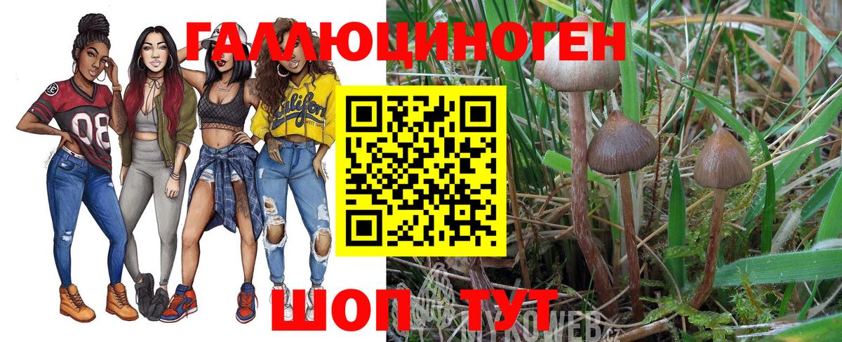 Коркино  Псилоцибиновые грибы Psilocybe  купить   Вход с VPN 